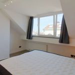 Rent 2 bedroom apartment of 80 m² in Vorst