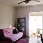 Rent a room in Cádiz