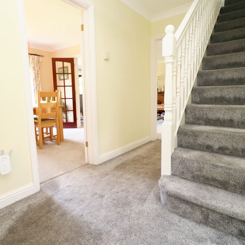 5 room house to let in Newtown, Fareham united_kingdom