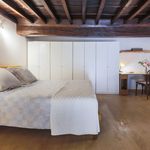Rent 2 bedroom apartment of 120 m² in Firenze