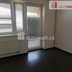 Rent 3 bedroom apartment of 150 m² in Plzeň