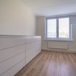 Rent 5 bedroom house of 130 m² in Wassenaar