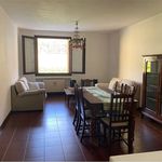 Rent 2 bedroom apartment of 60 m² in Iseo