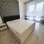 Wynajmij 4 sypialnię apartament z 84 m² w Kielce