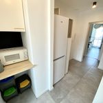 Rent 1 bedroom apartment in Katowice