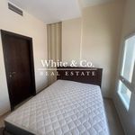 Rent 1 bedroom apartment of 43 m² in Dubai
