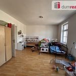 Rent 4 bedroom apartment of 100 m² in Ústí nad Labem
