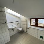 Miete 4 Schlafzimmer wohnung von 101 m² in Landkreis Mittelsachsen