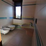 Rent 2 bedroom apartment of 60 m² in Busto Arsizio