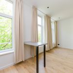 Rent 1 bedroom apartment in Den Haag