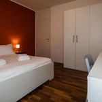 Affitto 1 camera appartamento in Udine