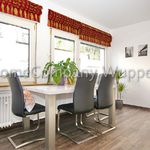 Rent 1 bedroom apartment of 27 m² in Wuppertal