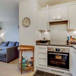Rent 1 bedroom apartment of 465 m² in London