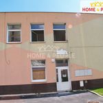 Rent 1 bedroom apartment of 26 m² in Chodov