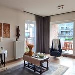 Rent 1 bedroom apartment in Vorselaar