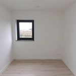 Rent 3 bedroom house of 139 m² in Tongeren