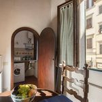 Affitto 1 camera appartamento di 45 m² in Florence