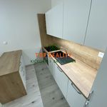 Rent 2 bedroom apartment of 65 m² in Pardubice