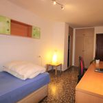 Alquilo 3 dormitorio apartamento de 95 m² en Molina de Segura