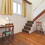 Rent 4 bedroom apartment of 264 m² in Firenze