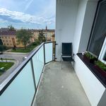 Rent 1 bedroom apartment of 63 m² in Žďár nad Sázavou