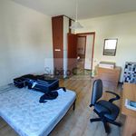 Affitto 5 camera appartamento di 80 m² in Castel Frentano