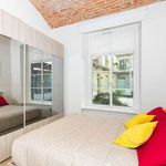 Rent 1 bedroom apartment of 40 m² in Torino