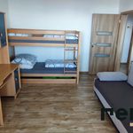 Rent 3 bedroom apartment of 70 m² in Cesky Krumlov