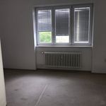 Rent 2 bedroom house in Brno