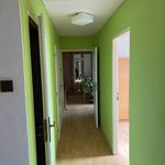 Rent 1 bedroom apartment of 70 m² in Černíny