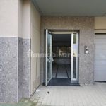 Rent 1 bedroom apartment of 40 m² in Cassino