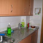 Rent 3 bedroom apartment of 125 m² in Lleida