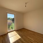 Rent 4 bedroom apartment of 85 m² in Unterlamm
