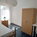 Rent 4 bedroom apartment in Castelo Branco