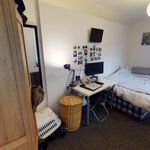 Rent 1 bedroom student apartment in 20