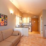 Rent 1 bedroom apartment of 38 m² in Ibarranguelua