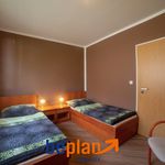 Rent 3 bedroom apartment of 60 m² in Sokolov