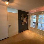 Rent 2 bedroom apartment of 125 m² in Eindhoven