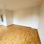 Rent 1 bedroom apartment of 38 m² in Havířov