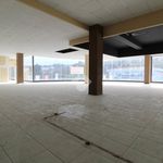 Rent 5 bedroom apartment of 450 m² in Tortoreto
