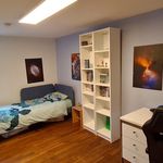 Rent 4 bedroom apartment in Winterthur