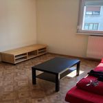  appartement avec 1 chambre(s) en location à Haguenau