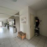 Rent 2 bedroom house of 90 m² in Hoogstraten