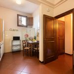 Rent 1 bedroom apartment of 24 m² in Firenze