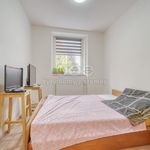 Rent 1 bedroom apartment of 61 m² in Radnice