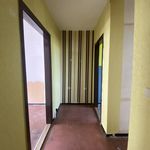 Rent 2 bedroom apartment of 48 m² in Mücheln