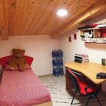 Affitto 4 camera appartamento di 100 m² in Catanzaro