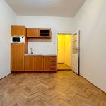 Rent 1 bedroom apartment in Brno