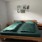 Miete 2 Schlafzimmer wohnung von 48 m² in Marsberg