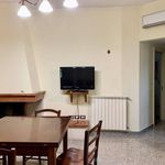 Affitto 4 camera appartamento di 85 m² in Lecce